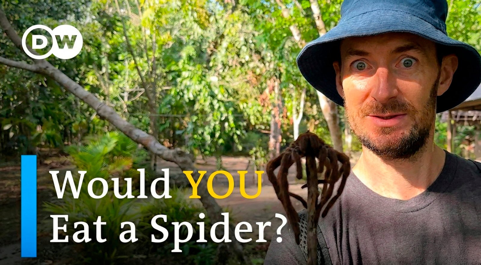 Amazonian Rainforest